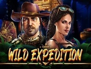 Wild Expedition game thumbnail